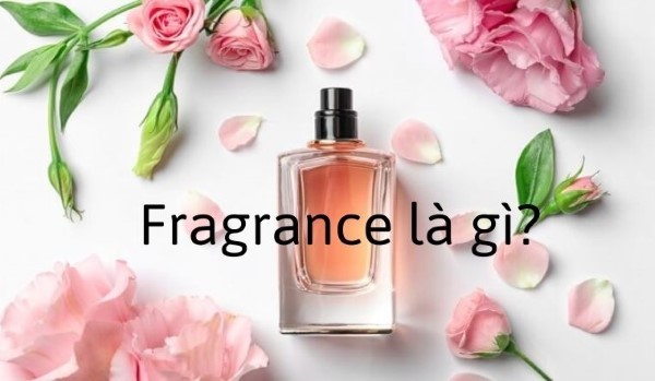 Fragrances là gì?