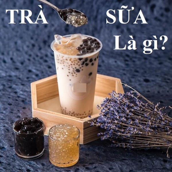 Trà sữa là gì? Nguồn gốc của trà sữa