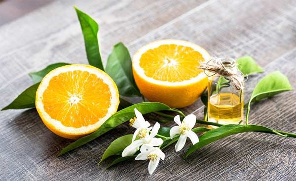 Hương hoa cam sử dụng trong nước hoa