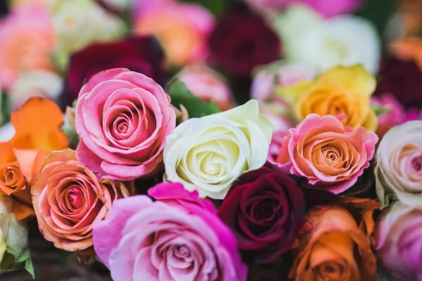 Hương hoa là nhóm hương được ưa chuộng nhất, mang lại cảm giác tươi mới, nhẹ nhàng và lãng mạn.