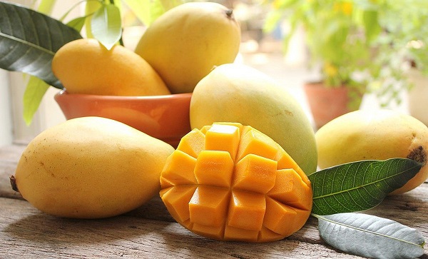 Hương Xoài là gì?