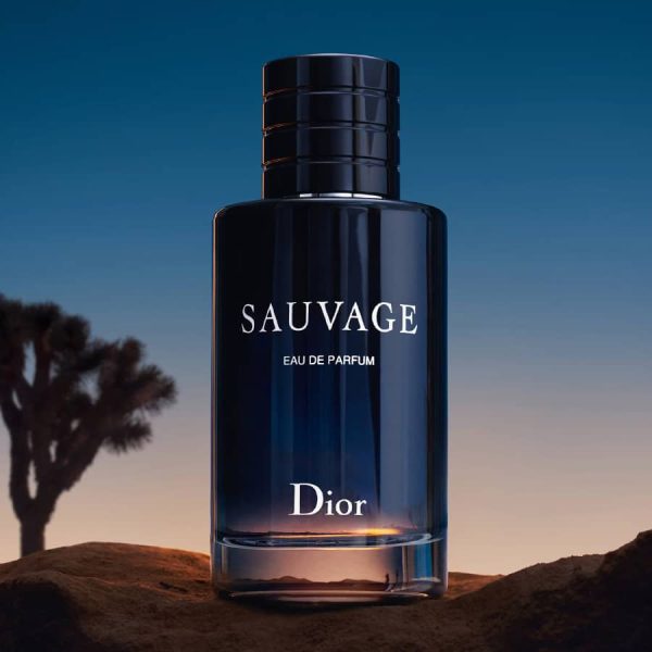 nuoc hoa dior sauvage edp 100ml 1