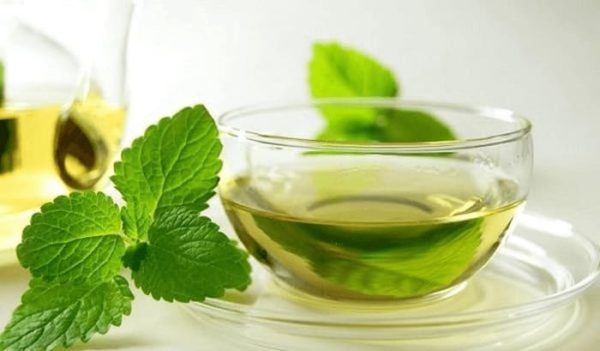 Tổng hợp các cách để phát huy công dụng của tinh dầu bạc hà