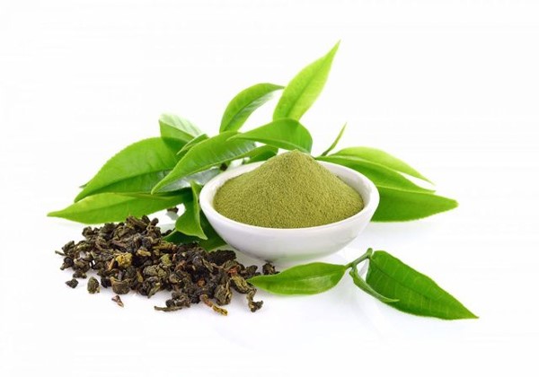 Catechin là một hợp chất được tìm thấy trong trà xanh