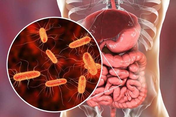 Chất nhũ hóa có thể có nhiều tác động khác nhau đối với sức khỏe con người