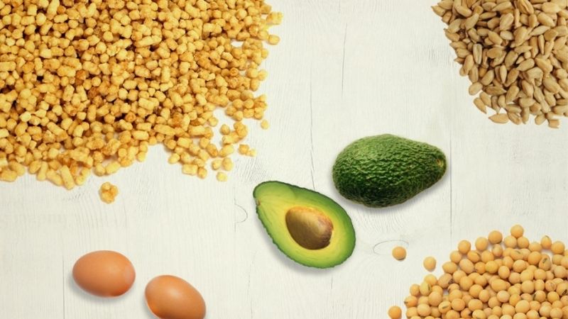 Lợi ích của Lecithin đối với sức khỏe