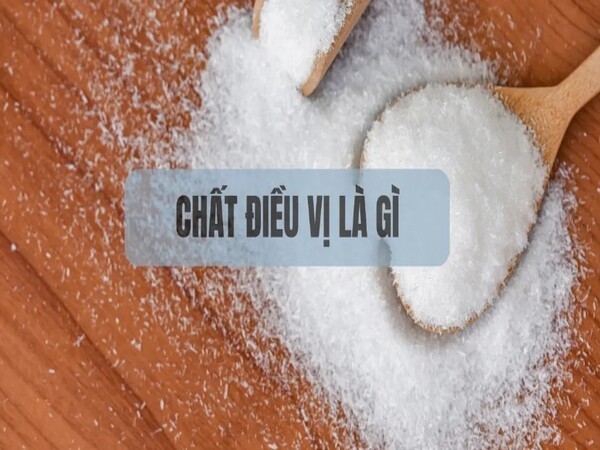 Chất điều vị là gì?