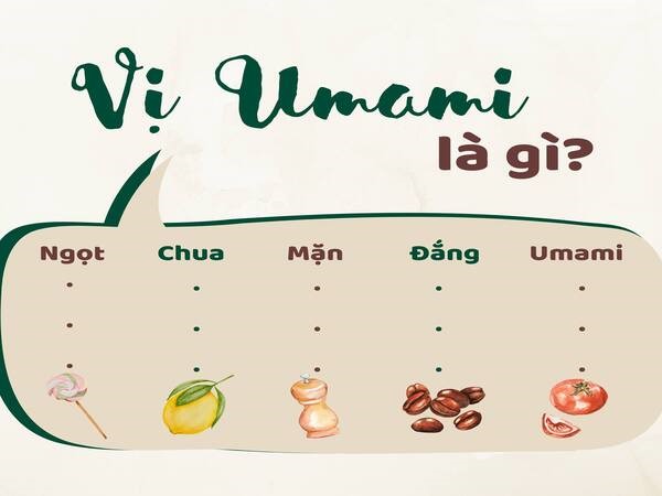 Hương vị Umami là vị gì? Định nghĩa về vị Umami