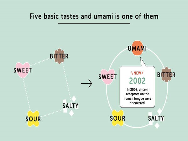 Umami là vị gì? Lịch sử và nguồn gốc của vị Umami từ đâu?