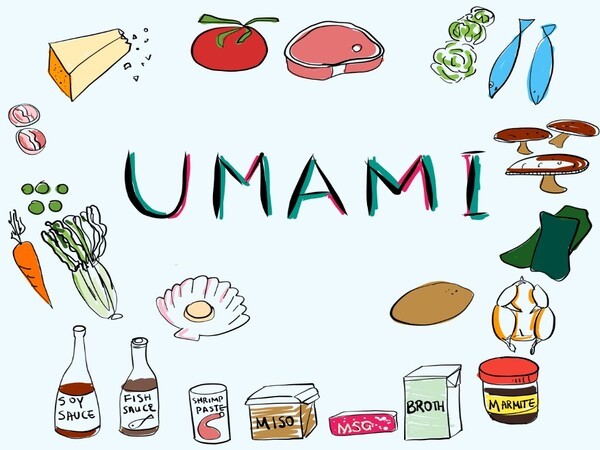 Vị Umami có đặc tính như thế nào?
