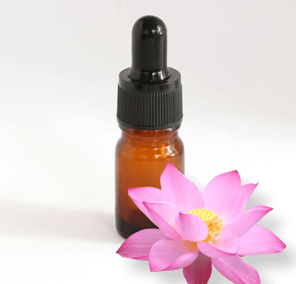 Cách chọn mua tinh dầu hoa sen chất lượng