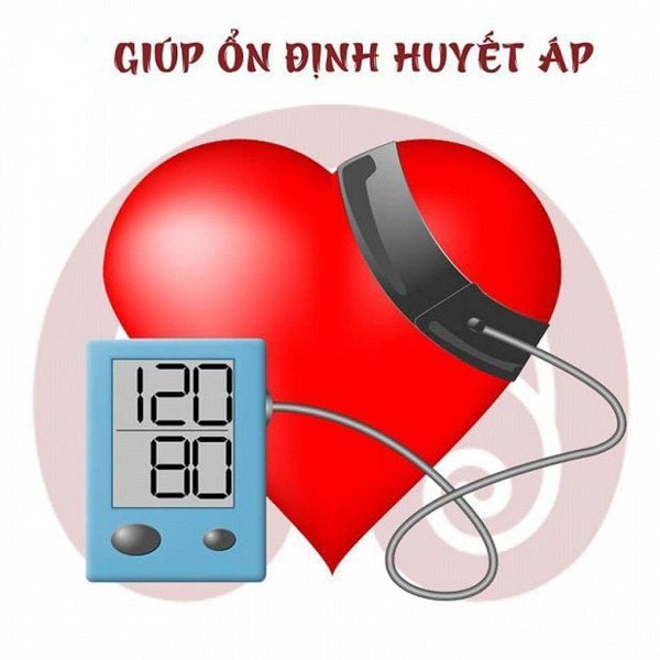 Giúp ổn định huyết áp