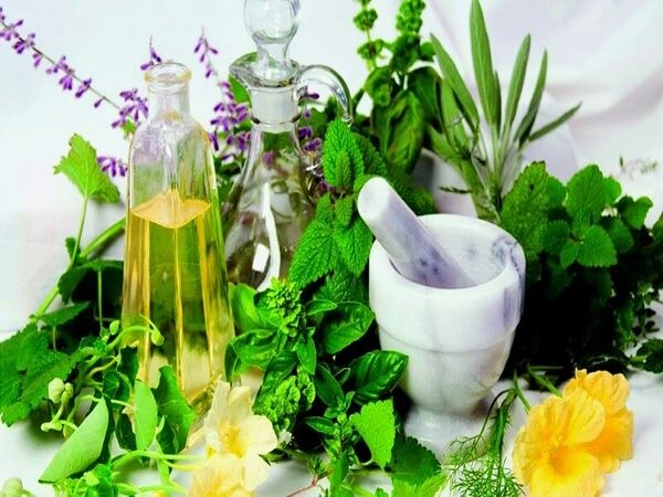 Cách sử dụng tinh dầu hương nhu một cách hiệu quả