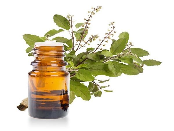 Những điều cần lưu ý khi sử dụng tinh dầu hương nhu
