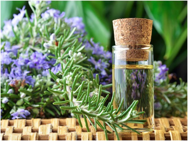 Làm thế nào để có thể mua được tinh dầu hương nhu chất lượng?