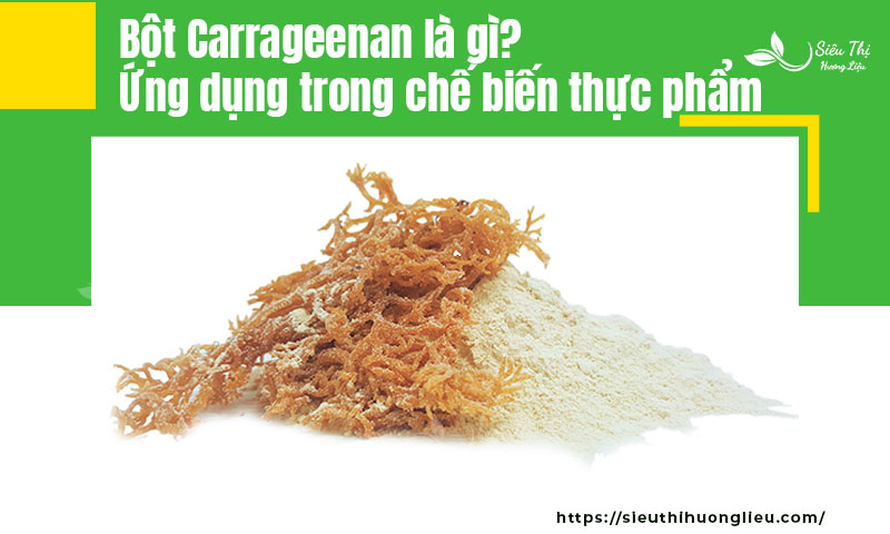Bột Carrageenan là gì? Ứng dụng trong chế biến thực phẩm