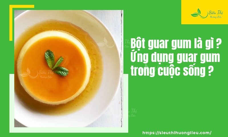 Bột guar gum là gì? Ứng dụng và lợi ích của guar gum