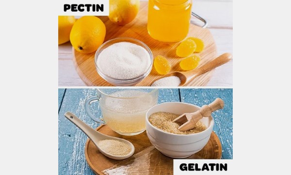 Gelatin so với pectin