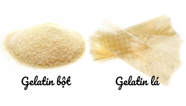 Các loại Gelatin