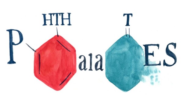Phthalates là nhóm hóa chất thường được sử dụng