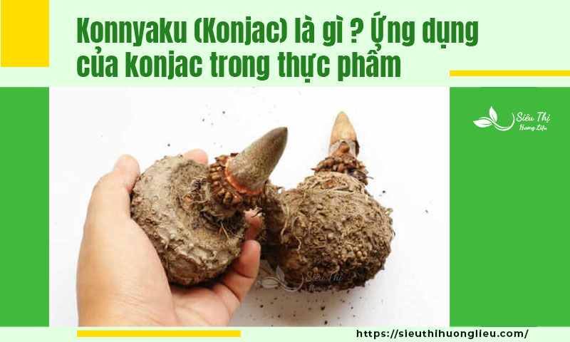 konjac là gì? Ứng dụng của konjac trong thực phẩm
