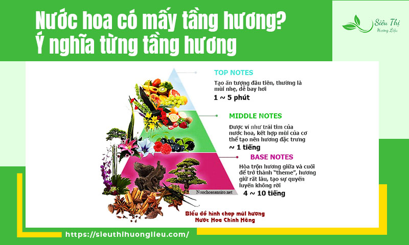 Nước hoa có mấy tầng hương? Ý nghĩa từng tầng hương