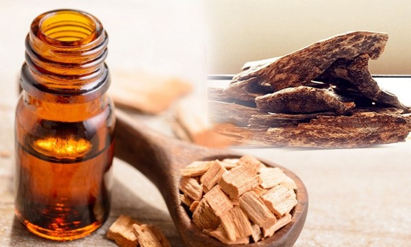Sandalwood là gì?