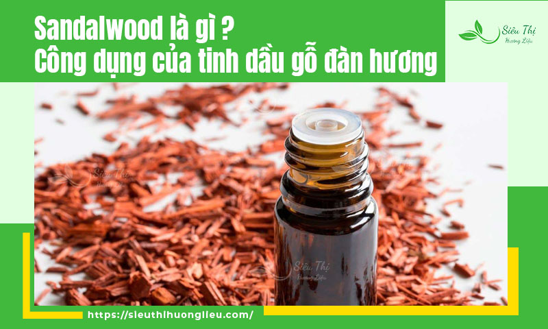 Sandalwood là gì? Công dụng của tinh dầu gỗ đàn hương