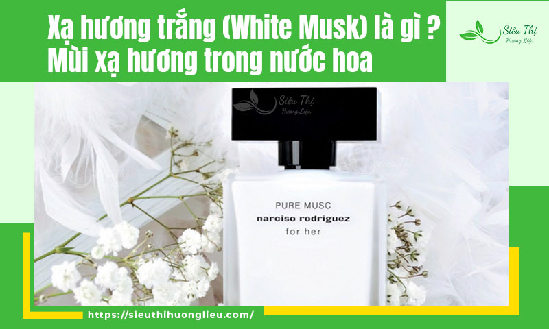 Xạ hương trắng (White Musk) là gì? Mùi xạ hương trong nước hoa