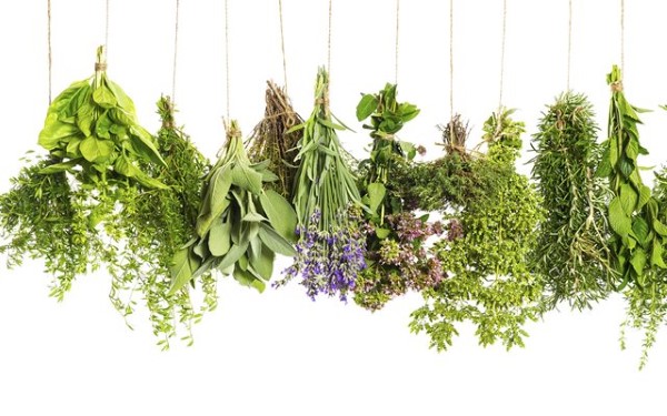 Phân loại các loại gia vị theo nguồn gốc