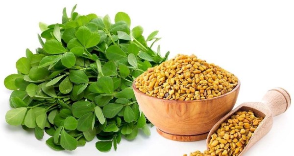 Hạt cỏ cà ri giúp cải thiện tiêu hóa