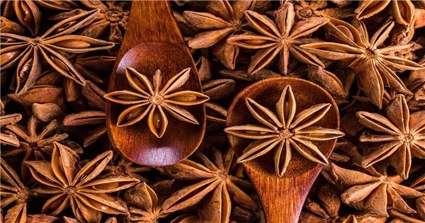Đại hồi có tác dụng rất tốt trong việc hỗ trợ tiêu hóa