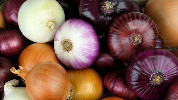 Hành tây, hành tím có chất chống oxi hoá