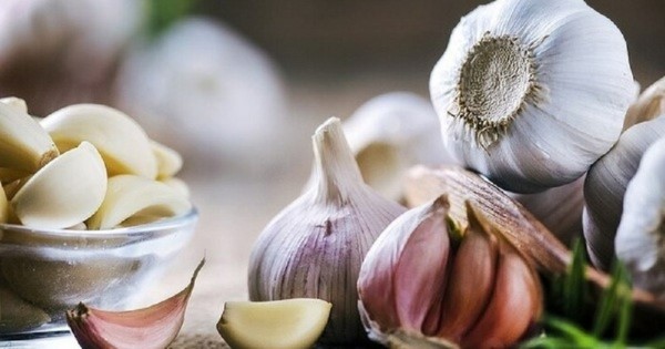 Tỏi là một trong những gia vị phổ biến