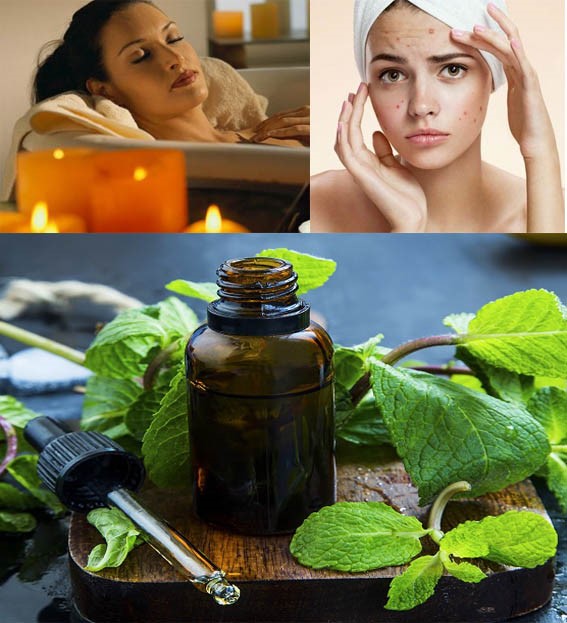 Tại sao tinh dầu bạc hà được nhiều người yêu thích?