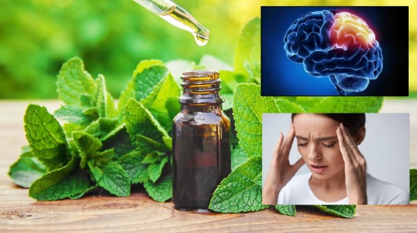 Tác dụng của tinh dầu bạc hà nguyên chất