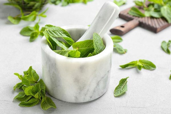Cách làm tinh dầu bạc hà tại nhà đơn giản