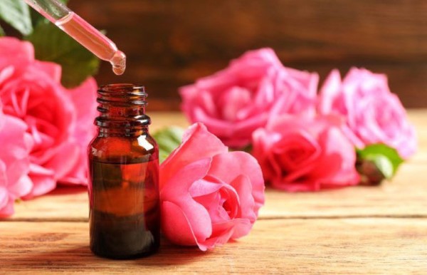 Tinh dầu hoa hồng chứa nhiều hoạt chất quý giá