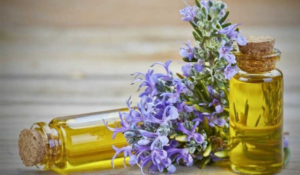 Tinh dầu hương thảo là gì? Cách làm tinh dầu hương thảo