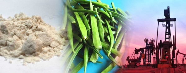Quy trình sản xuất guar gum trong công nghiệp