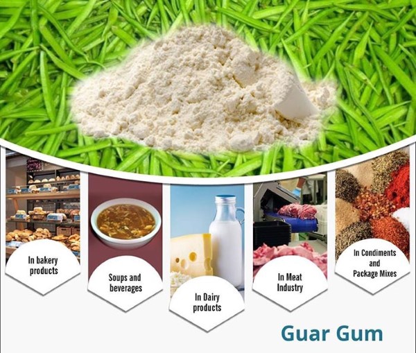 Lợi ích của Guar Gum đối với sức khỏe