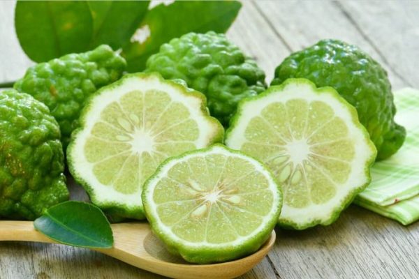 Cam Bergamot