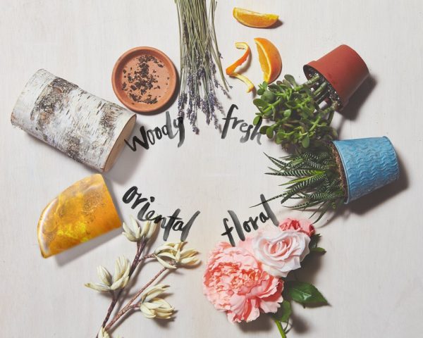Một số nhóm hương phổ biến