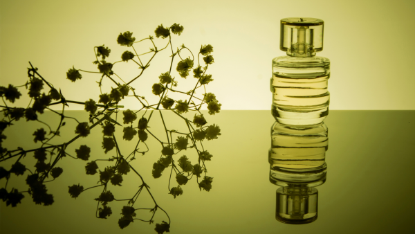 Nhóm hương Chypre (hương Síp)