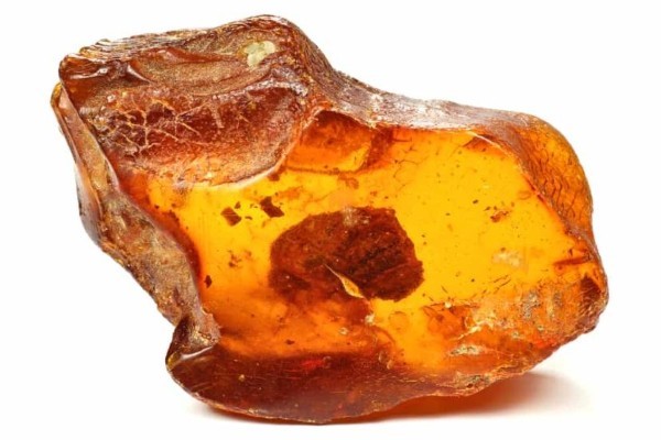 Long diên hương (Ambergris) là một trong những loại hương liệu quý hiếm nhất