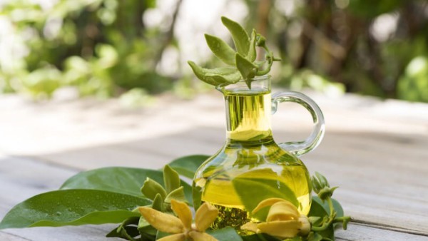 Tinh dầu Ylang Ylang
