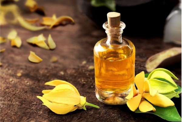 Hương Ylang Ylang có tác dụng cân bằng cảm xúc