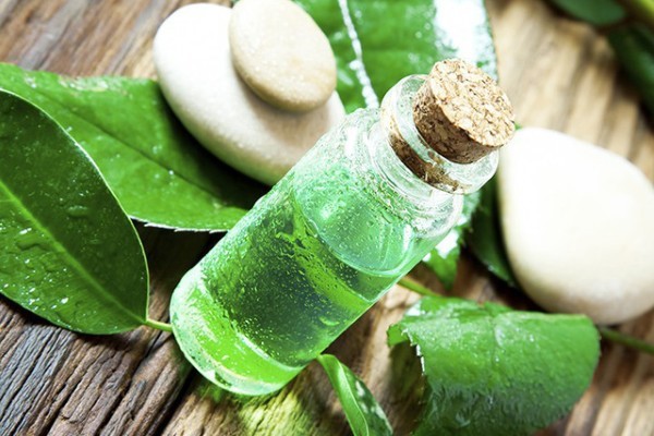Hương trà xanh (Green Tea) giúp làm dịu tinh thần, tạo cảm giác thư thái và yên bình