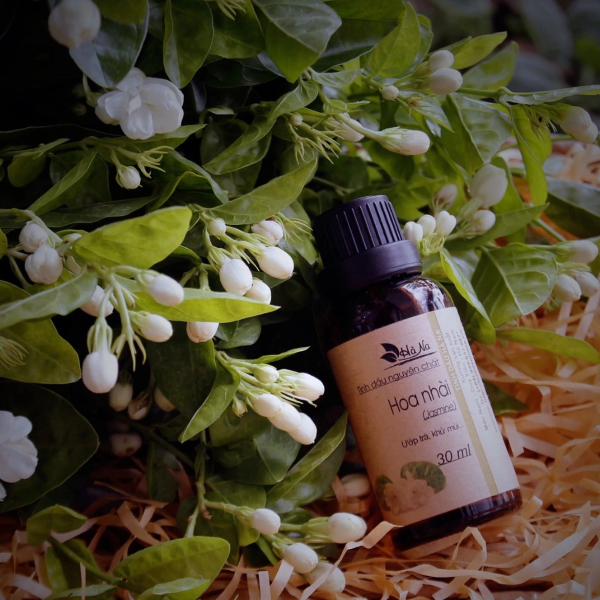 Hương hoa nhài (Jasmine) mang đến cảm giác lãng mạn, thư thái và ấm áp