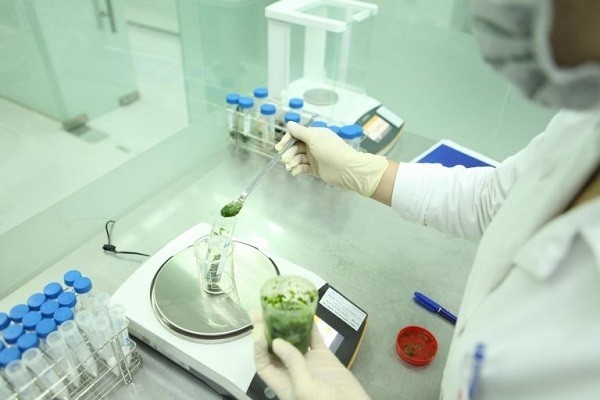 Cần kiểm tra độ an toàn và chất lượng của hương liệu